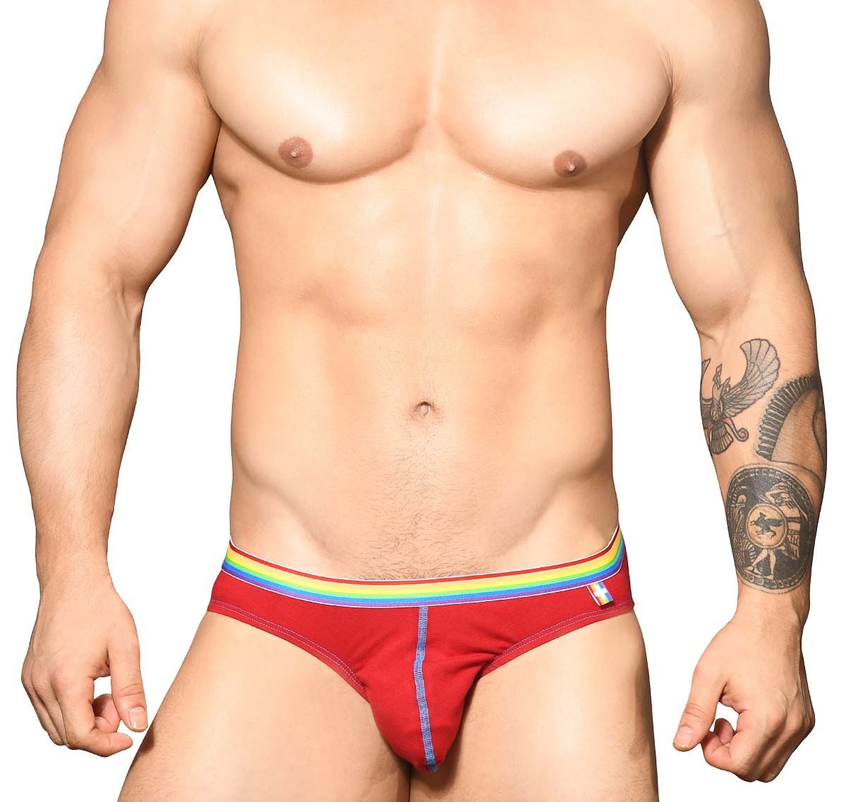 Pack Of 3 Briefs Boy Unicorn