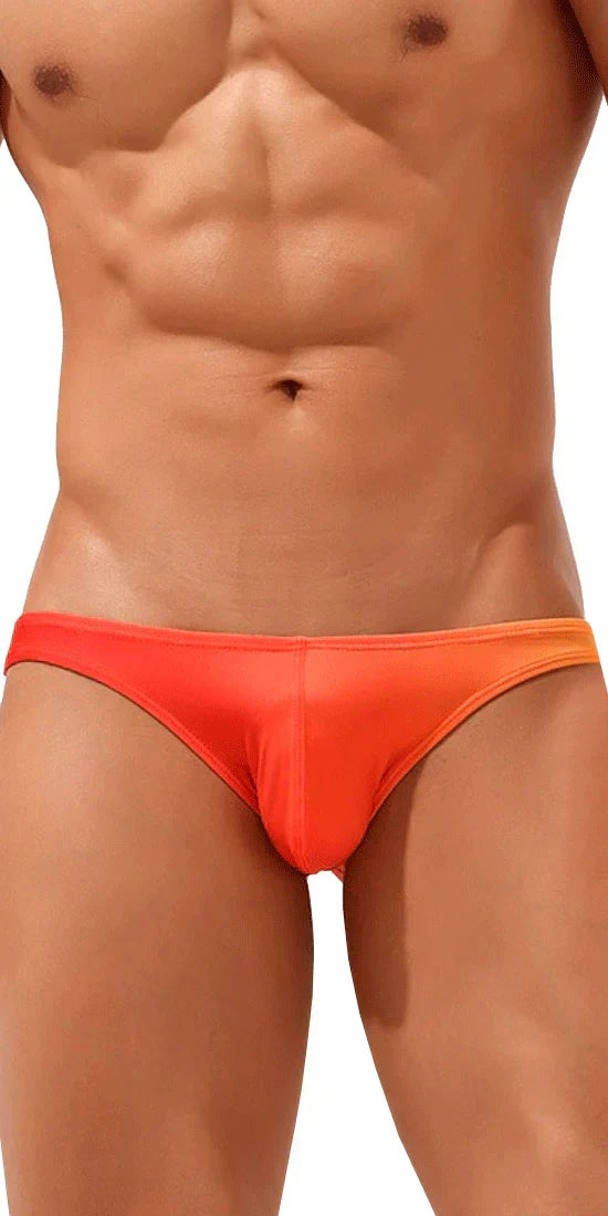 Bikini Microfiber Wild Low Rise