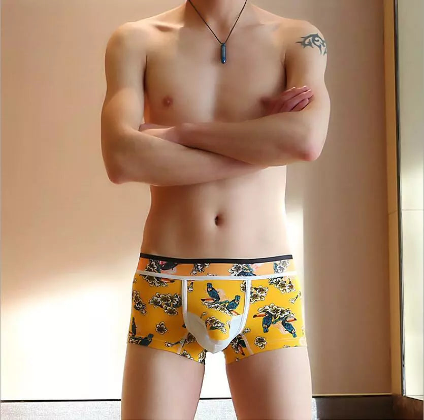 Elephant Poych U Convex Boxer Briefs Sexy Cotton Comfortable Underwear