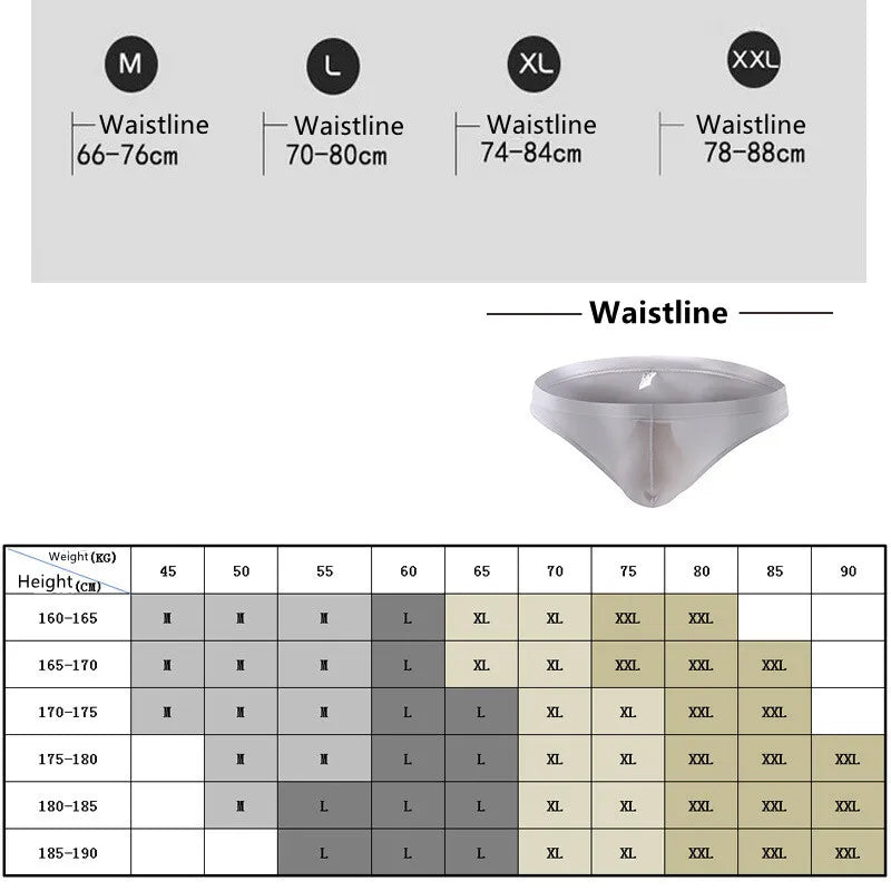 Mens Ice Silk Briefs Sexy Low Waist Bikini Panties Pouch Breathable