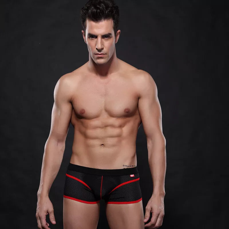 Men's Boxer Briefs Sexy Underwear Trunks Breathable U Pouch Mesh Men's Panties