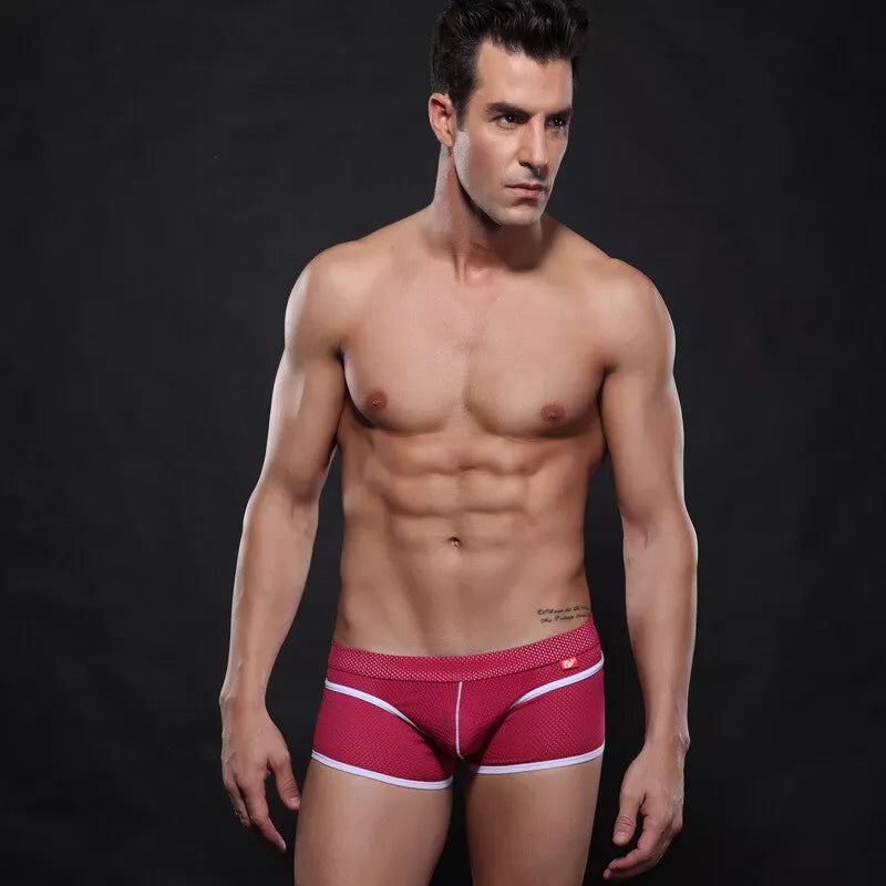 Men's Boxer Briefs Sexy Underwear Trunks Breathable U Pouch Mesh Men's Panties